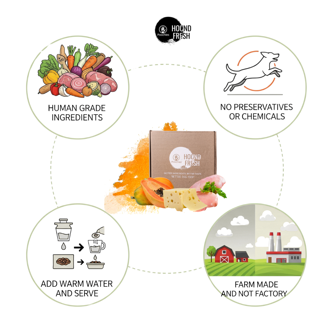 Hound Fresh Sweet Potato and Cheese Dog Fresh Food - Banana, Guava and Papaya Flavoured. 3 in 1 Hound Fresh Sweet Potato and Cheese Dog Fresh Food - Banana, Guava and Papaya Flavoured. 3 in 1
