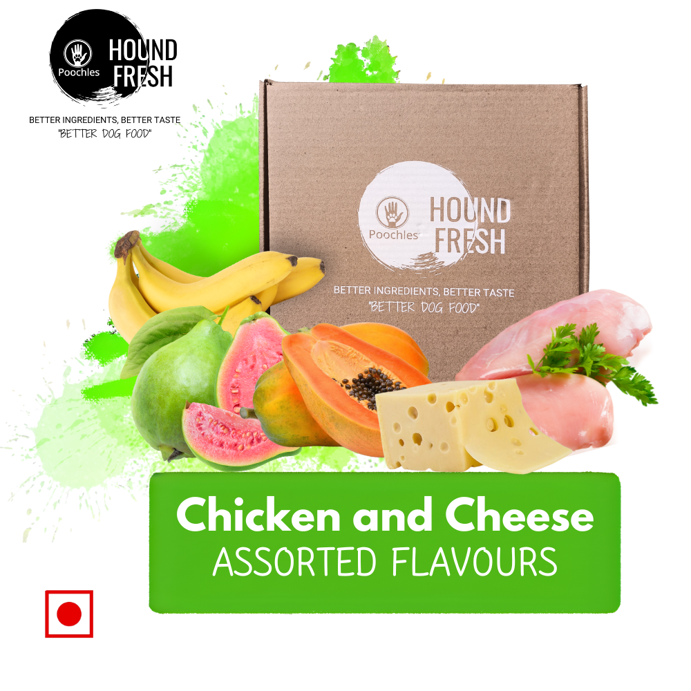 Hound Fresh Chicken and Cheese Dog  Fresh Food, Banana, Guava and Papaya Flavoured. 3 in 1