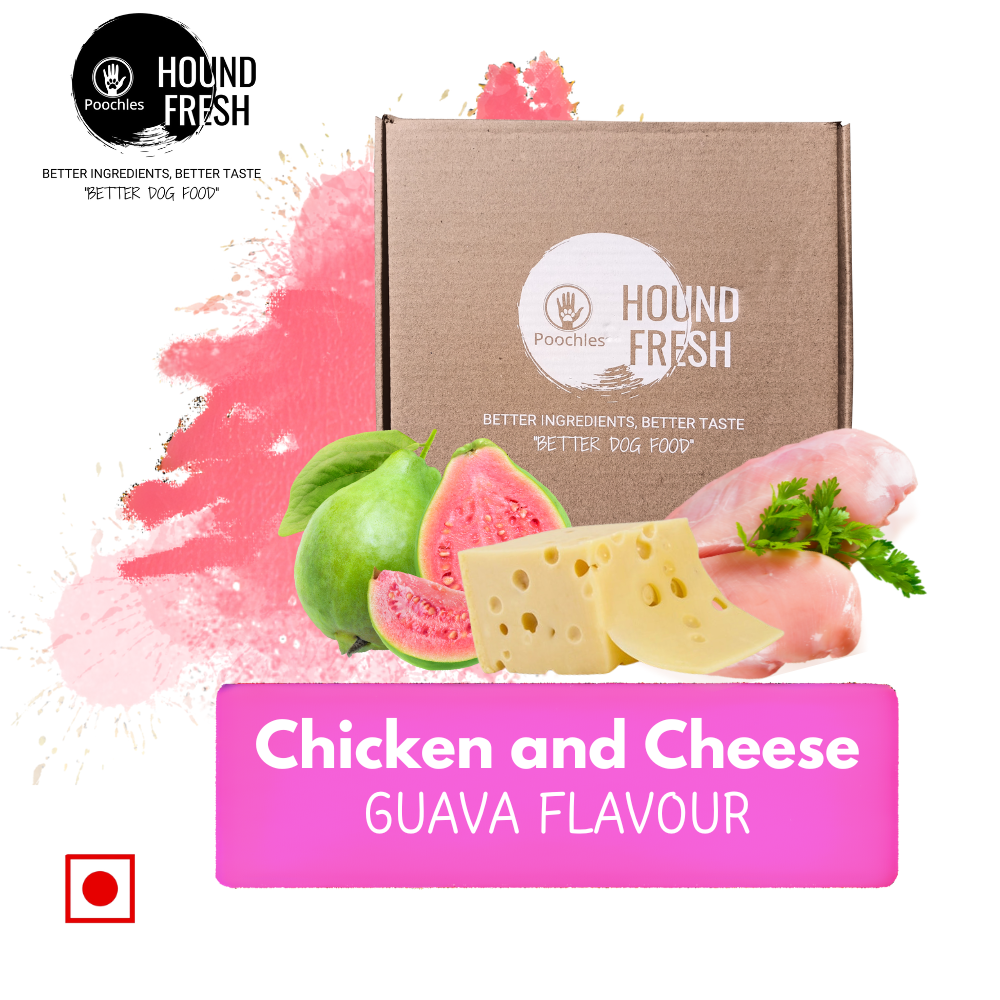 Hound Fresh Chicken and Cheese Dog  Fresh Food, Guava Flavoured