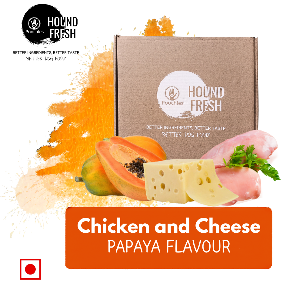 Hound Fresh Chicken and Cheese Dog  Fresh Food, Papaya Flavoured